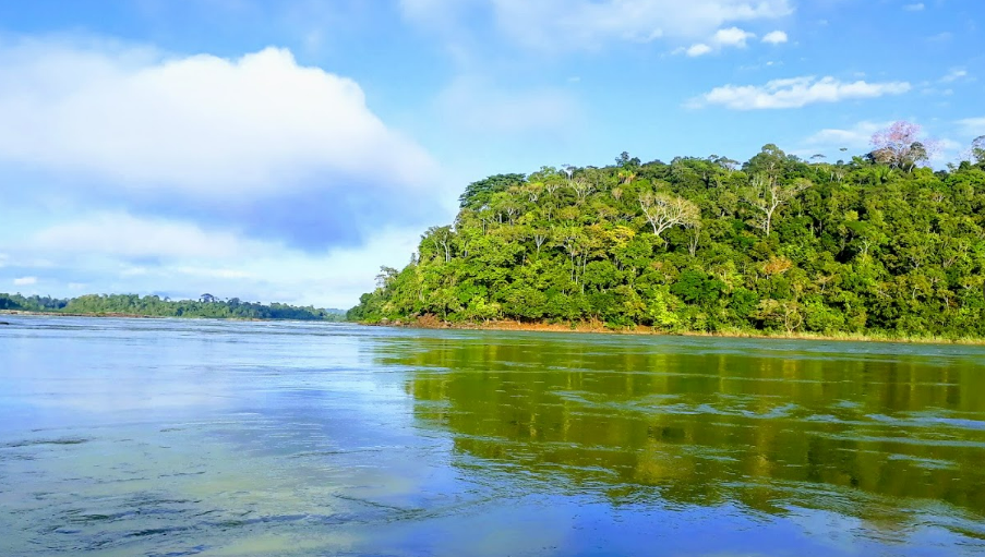 bonito paisaje del parque nacional de la amazonia